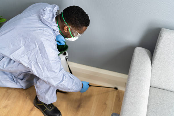 Indoor Pest Control in Fair Lawn, NJ